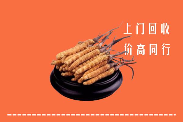高价求购：梧州回收散虫草