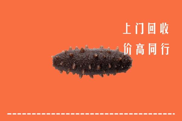 高价求购：梧州回收海参