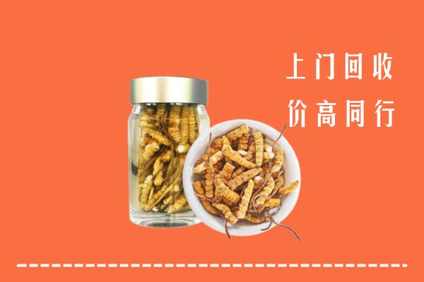 梧州高价回收冬虫夏草