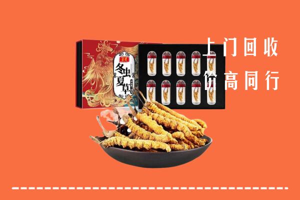 收购行情：梧州回收虫草